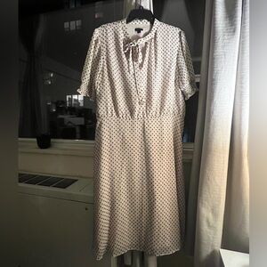 Ann Taylor Cream and Black Polka Dot Midi Dress